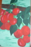 garten_eden06